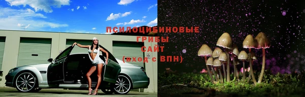 прущие крисы Нязепетровск