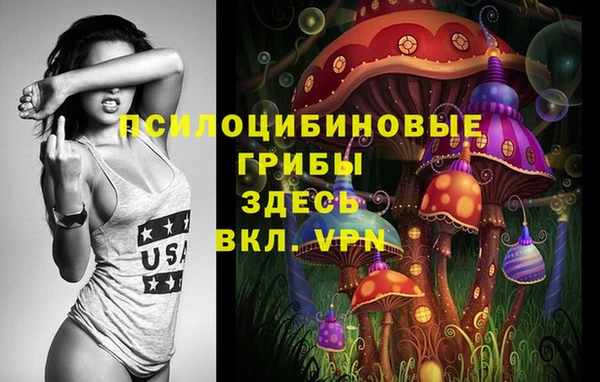 дурь Няндома