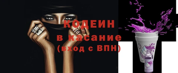 дурь Няндома