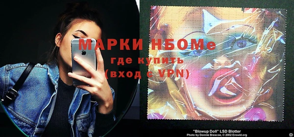 дурь Няндома