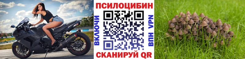 Псилоцибиновые грибы прущие грибы  Абаза 
